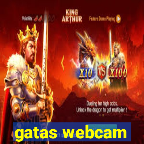 gatas webcam